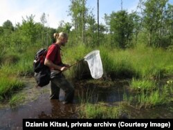 Падчас паляваньня на стракозаў у Беларусі, фота з прыватнага архіву