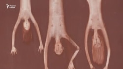 Усулҳои шиканҷа дар тасвири наққоши тоҷик