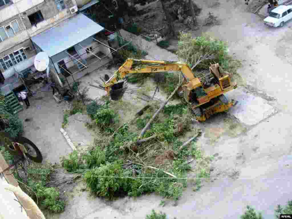 "Bolýan zatlara ýüregim çydanok" #14