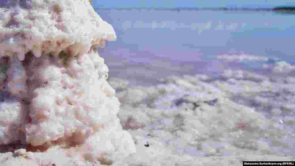 Bu terekni bütünley suv örtken