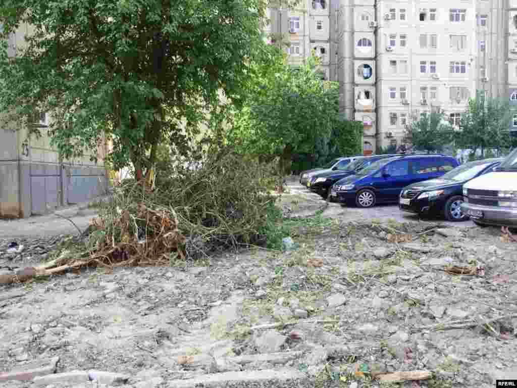 "Bolýan zatlara ýüregim çydanok" #2