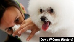 Ілюстрацыйнае фота