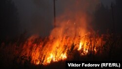 Лесной пожар вокруг Найстенъярви