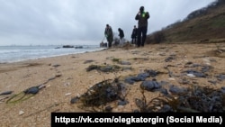 Волонтеры собирают мазут на берегу Керчи после аварии российских танкеров в Керченском проливе 15 декабря 2024 года. 22 декабря 2024 года