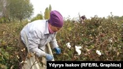 Иллюстративное фото