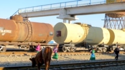 Mallar çölde-de, işikde hem aç ölýär, adamlar gaty aljyraýar