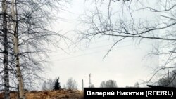 "Китайская лесопилка" в Томской области.