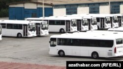 "Häzir 250 sany awtobus ýola çykyp bilmän ýatyr"