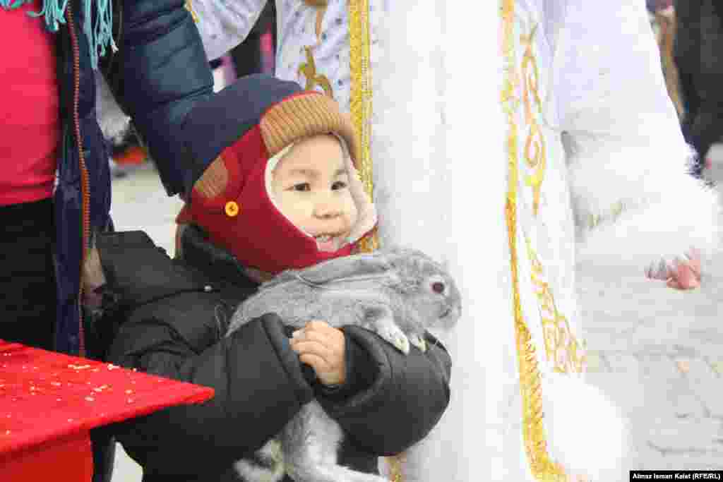 Кажется ему больше всего нравится кролик!