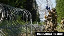 Литва. Беларустан кирген мыйзамсыз мигранттардын агымын токтотуу үчүн тартылган тосмо.