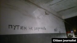 Путин дика вац.