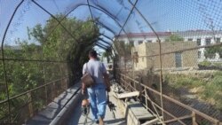 Ýolbaşçylaryň dynç alşy migrantlary gazançdan kesýär