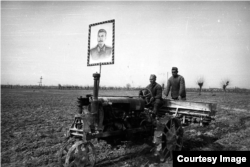 Первые трактора на полях Узбекистана. Фото Макса Пенсона