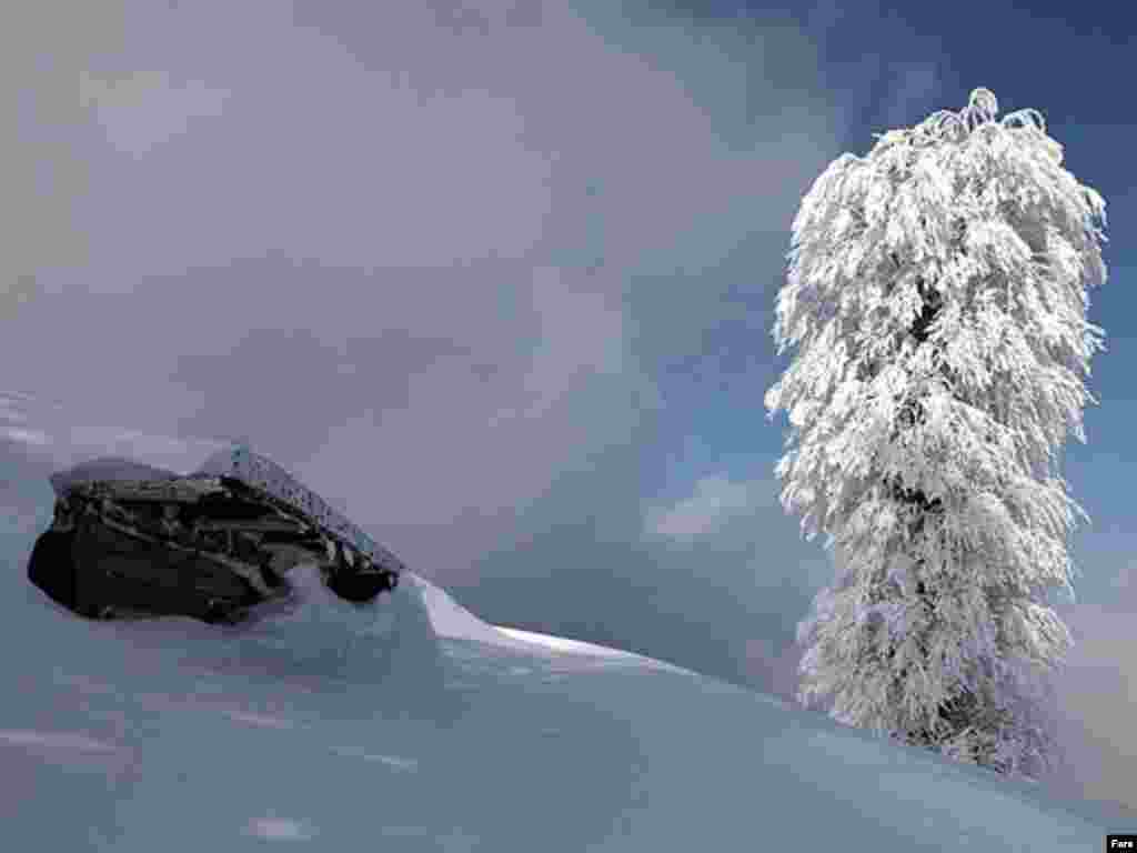 Иран. Провинция Гилан.