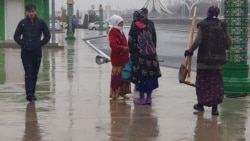 Diňle: Maryda arassaçylyk işleri bat alýar, guran agaçlara ýaşyl boýag çalynýar