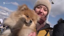 «Մենք չենք կարող ապրել առանց նրանց». ուկրաինացի փախստականները փախչում են ընտանի կենդանիների հետ