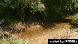 Соолуп бараткан Көк-Терек