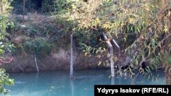 Иллюстрациялык сүрөт.