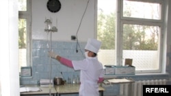 Кыргызские врачи зафиксировали свиной грипп у семи человек. Иллюстративное фото.