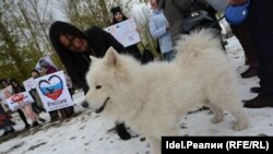 Чарага этләре белән килүчеләр дә бар иде