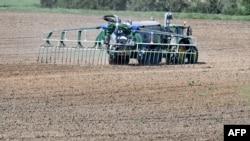 Снимката е илюстративна.