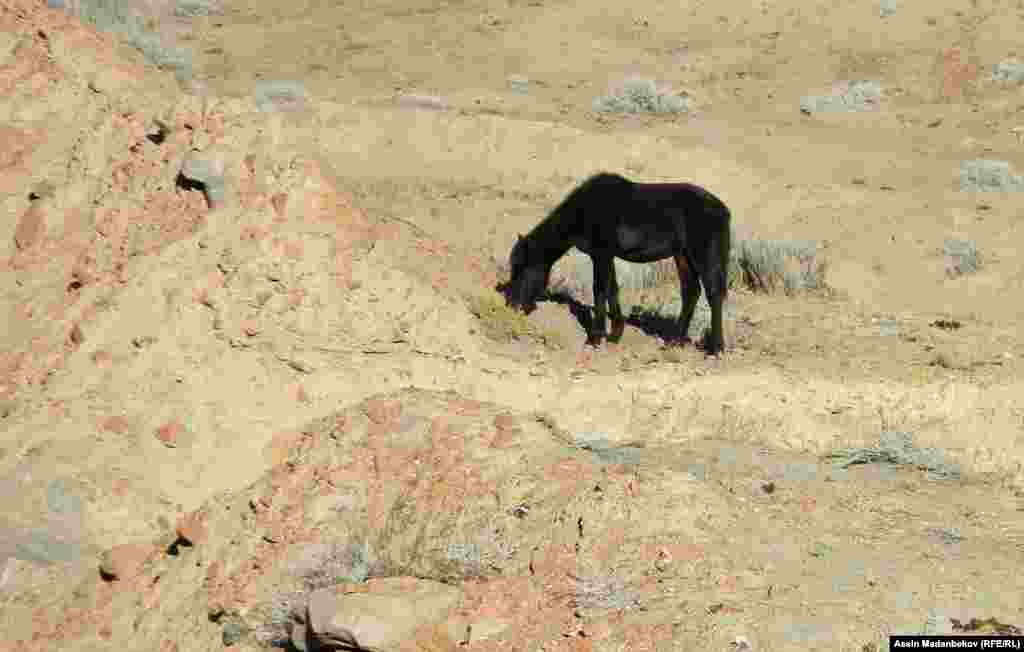 Өндүрүш аймагында азыркы учурда радиация күчү 20&nbsp;микрорентгенди түзөт.