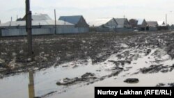 Улица безымянного поселка недалеко от села Жанашамалган в Карасайском районе, Алматинской области.      