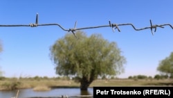  Иллюстративное фото 