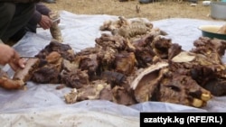 Уулануу жылкы этинен, же казы-картадан чыкканы болжолдонууда.