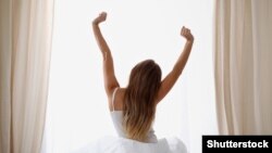 Иллюстрациялык сүрөт. 17-декабрь, 2018-жыл.