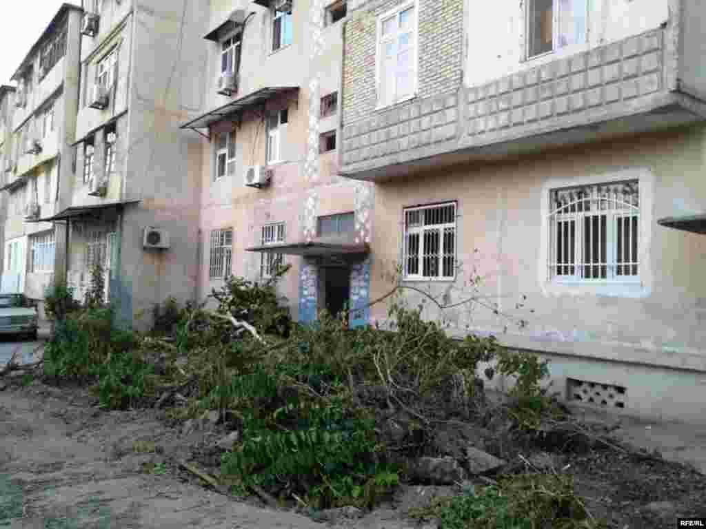 "Bolýan zatlara ýüregim çydanok" #5