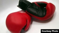 По словам Феликса Алборова, власти республики незаслуженно обделили вниманием любительский бокс, отдавая предпочтение профессиональному