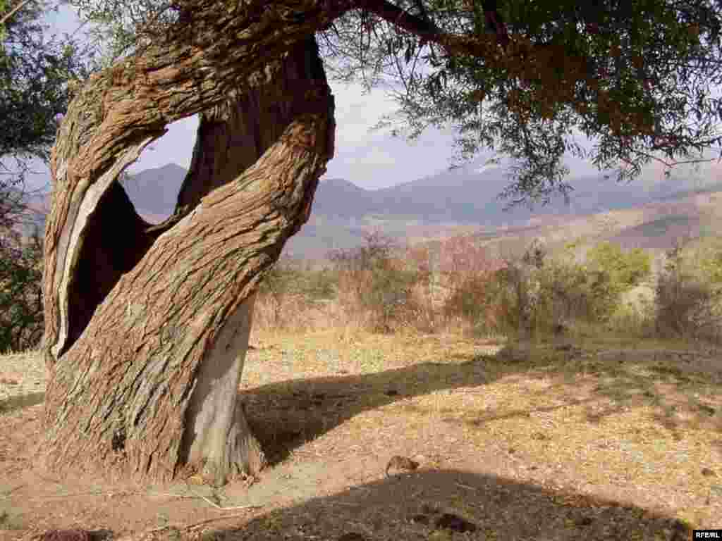 Как спасти издание от банкротства #1