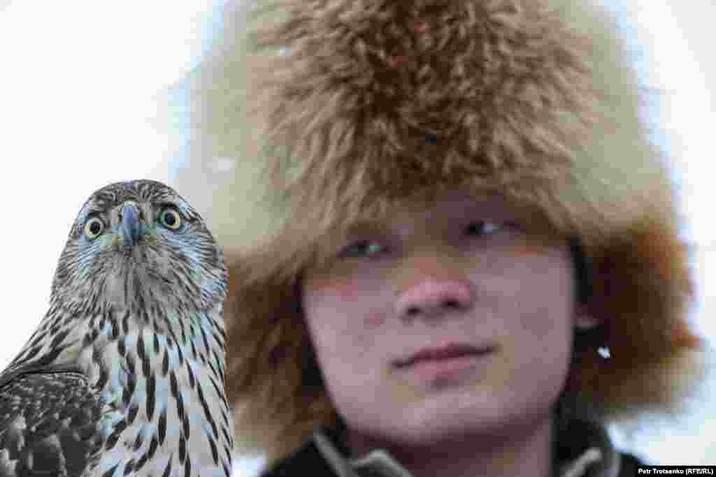 Мисливець і сокіл-балобан під час змагань беркутчі &laquo;Сонар-2020&raquo;