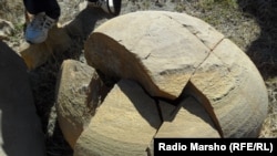 Нохчийчоь --Динозавран хIоа хила тарлуш болу тIулг, ХIимой, 09Оха2012