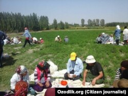 Сотрудники и работники бюджетных организаций в Самаркандской области обедают в поле после сбора хлопка, 17 сентября 2017 года. Фото отправлено мобильным репортером «Озодлика».