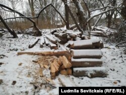 "Дом Рериха" растаскивают на дрова и стройматериалы