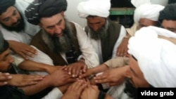 Талибан командирлери жаңы дайындалган лидери Хейбатулла Ахундзадени колдоого ант беришүүдө