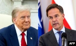 Дональд Трамп і Марк Рютте (комбіноване фото)