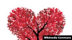 Махабат ышкысы - карьерага пайдалуу.