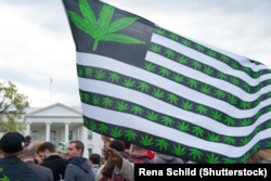Протест в Вашингтоне за легализацию марихуаны, 2016 год