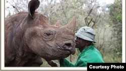  کرگدنی در بنیاد ديويد شلدريک
The David Sheldrick Wildlife Trust