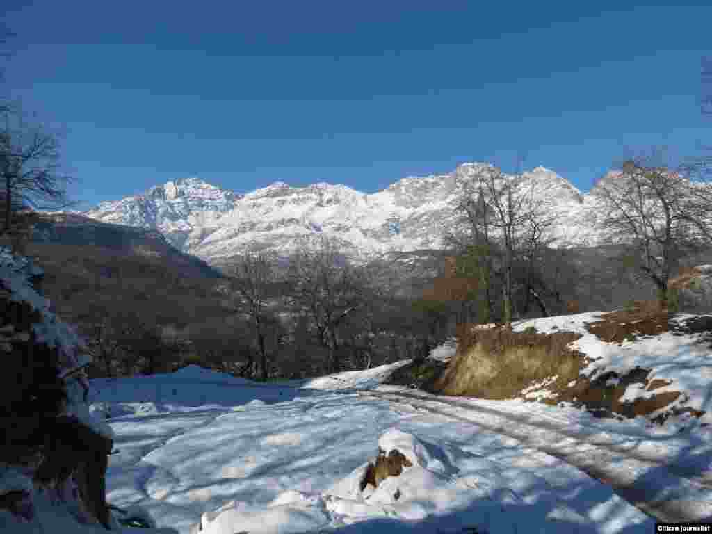 Кышкы тоо жана токой.                            