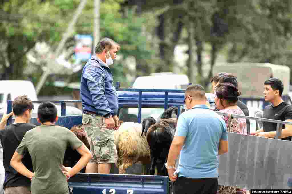 Анткен менен Бишкектеги мал базарга баргандардын аягы суюлган жок.&nbsp;