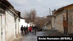 Ўшликларнинг асосий қисми Россияга кетмоқда.