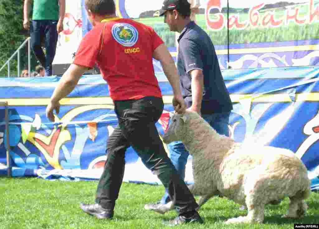 Батырга тәкә