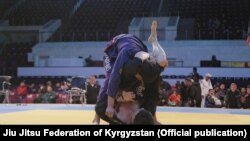 Акс аз бойгонӣ.