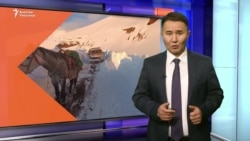 Чаткал: Алты адам дайынсыз, үч киши ооруканага түштү