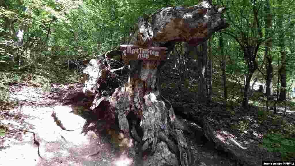 &quot;Poşta emeni&quot; - dereniñ baqılğan yerlerinden birisi. Evelleri bu terekniñ quvuşında turistler tilekler ve hatıralarnen mektüplerni qaldıra ediler. Terek tahminen 1981 senesi yandı. Sürette - terekniñ qalıntıları