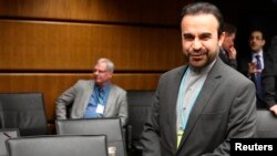 رضا نجفی، نماینده ایران در آژانس بین المللی انرژی اتمی